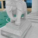 娄底 白麻花岗岩动物异形石雕-大象
