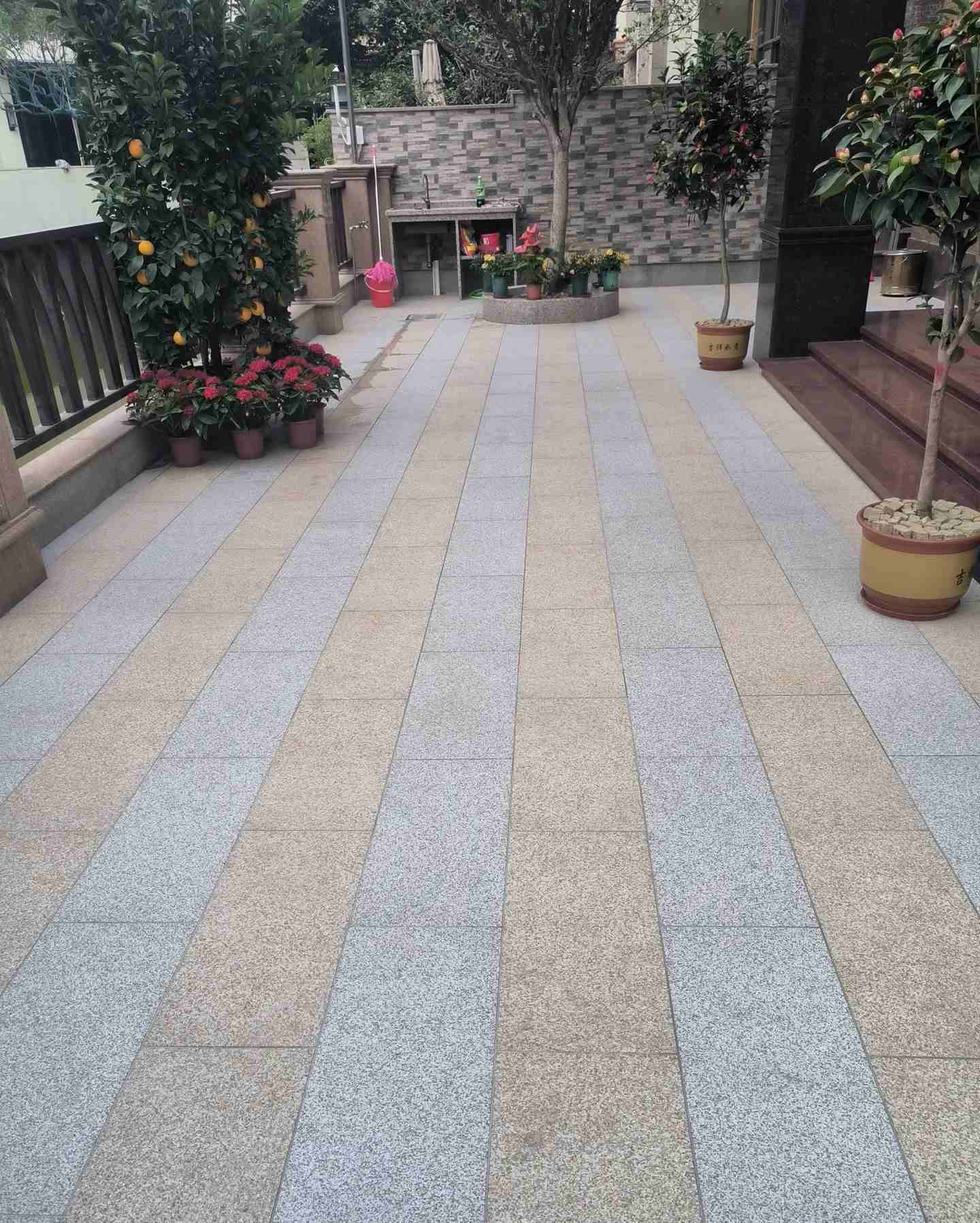 娄底 黄金麻白麻荔枝面庭院铺装展示