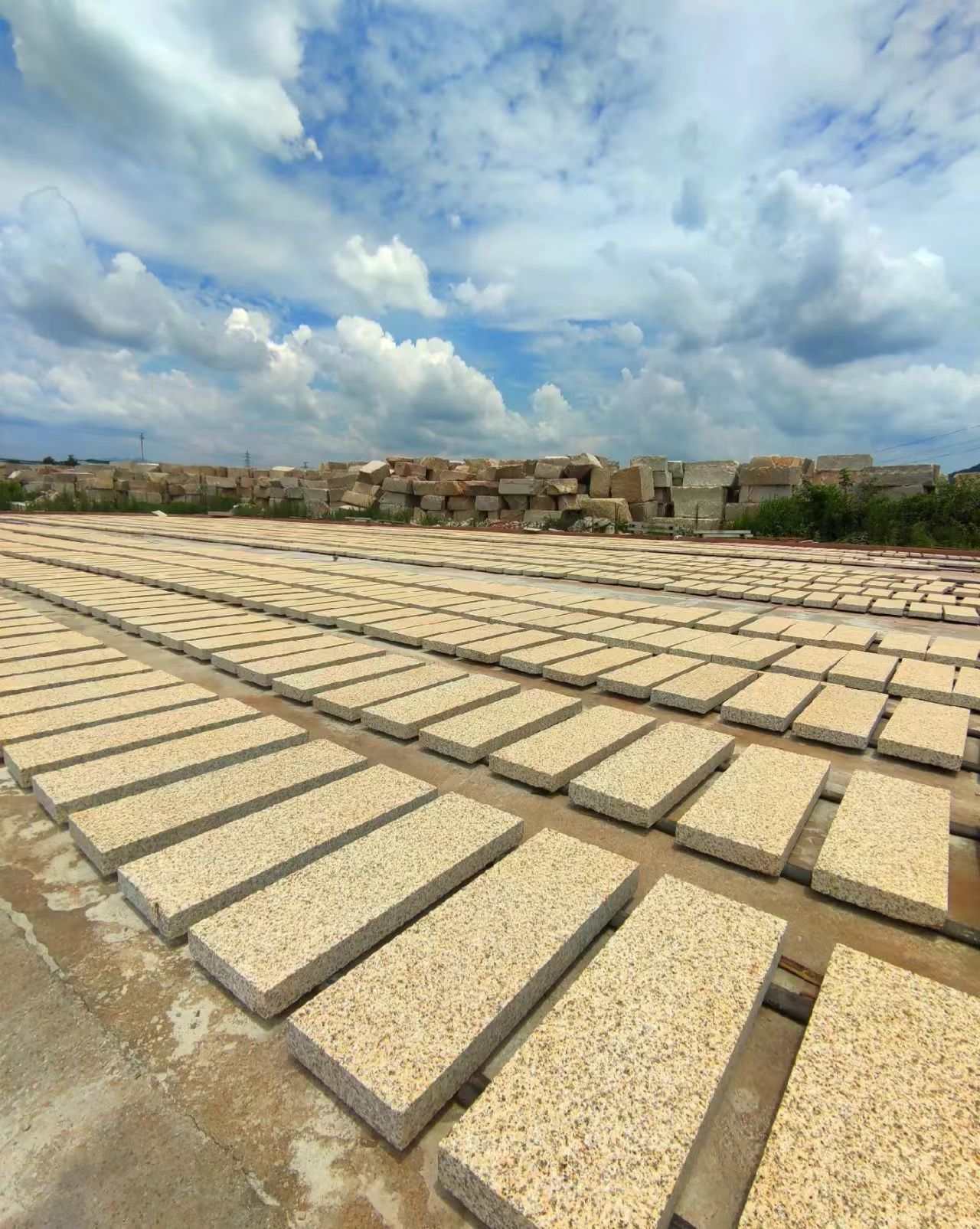 娄底 黄金麻花岗岩荔枝面地铺石防护中